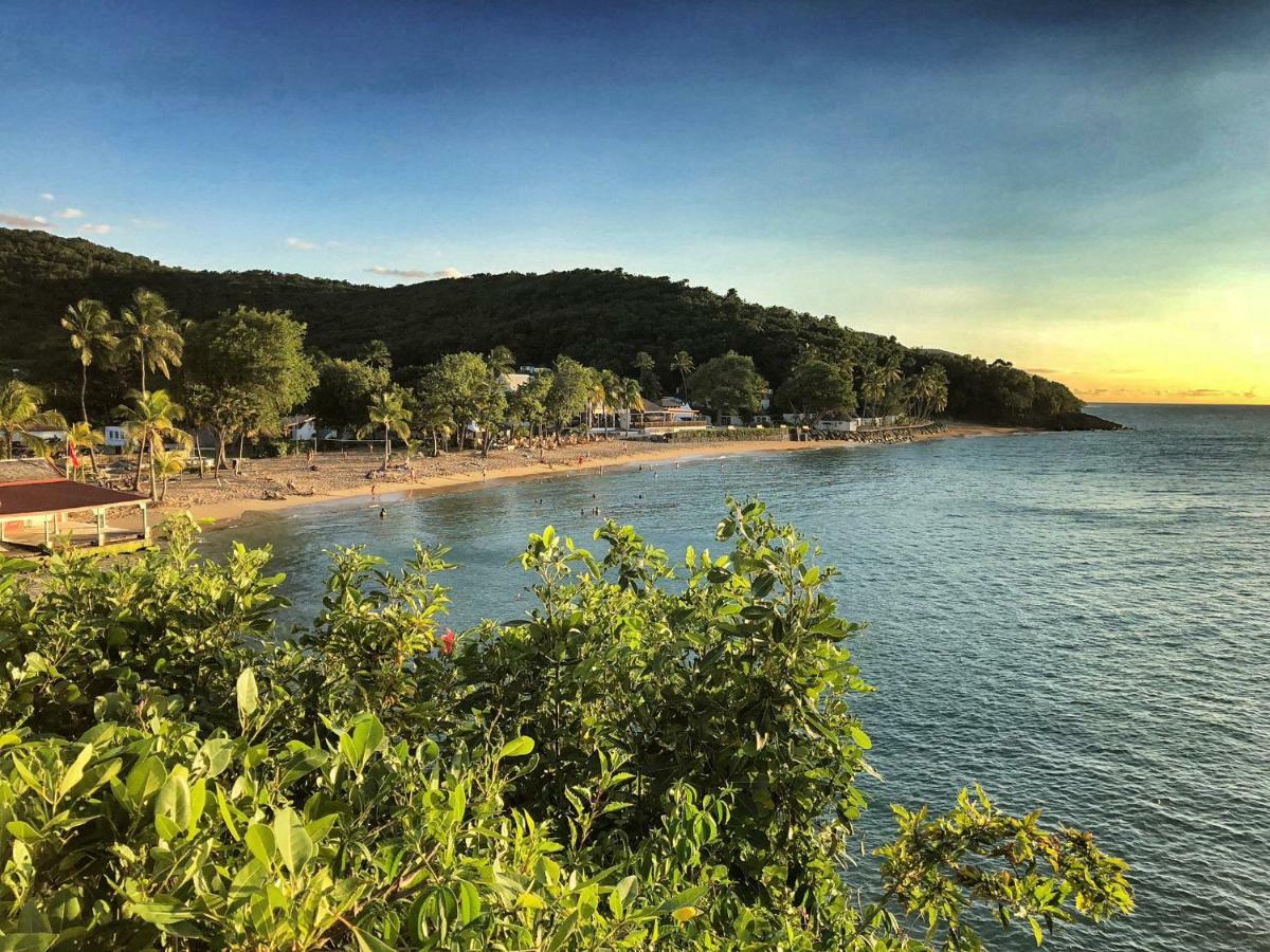 Gites Atemoya. Petit Bas Vent Fort Royal. เดเอ ภายนอก รูปภาพ